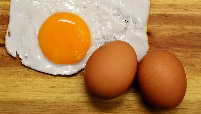 egg