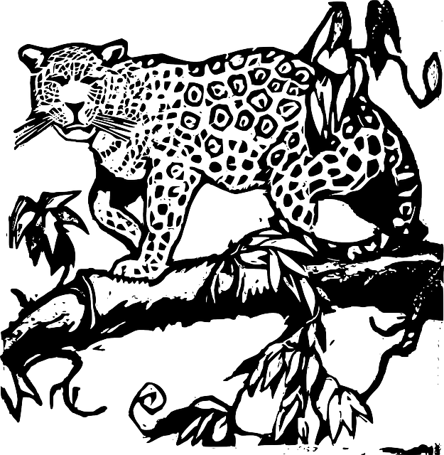 jaguar