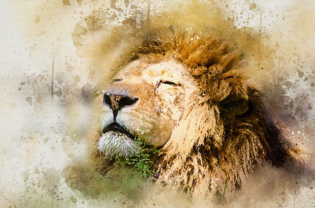 lion