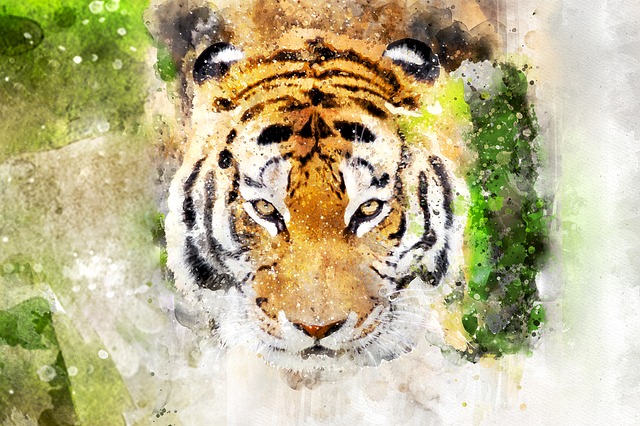 tiger
