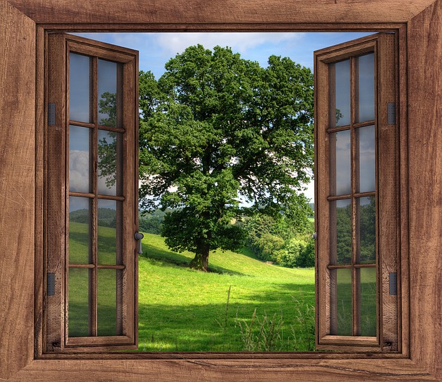 window