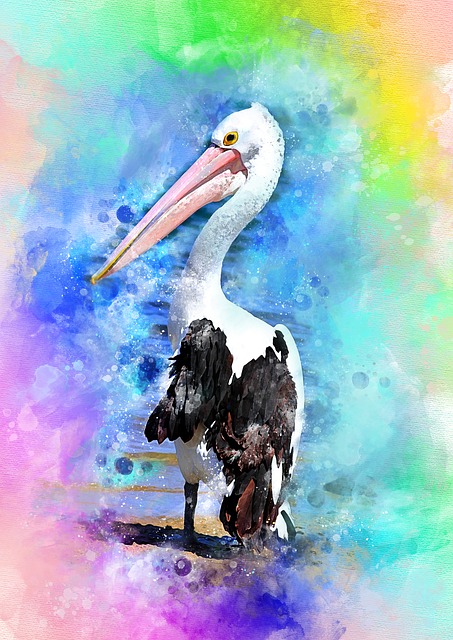 ペリカン