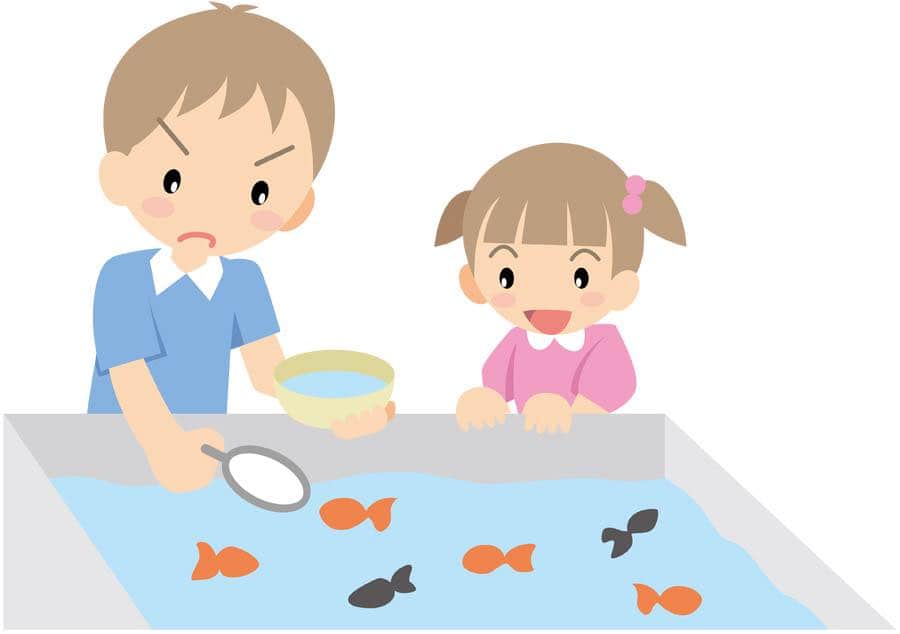 本当に羨ましいです