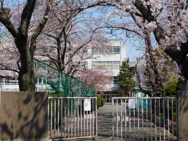 私は学校に入る。